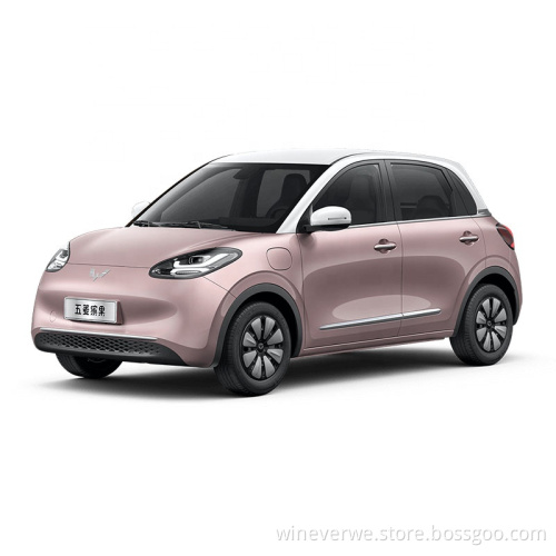 عروض عمر البطارية طويلة العلامة التجارية Wuling Bingo 203km 333km New Energy Electric Cars